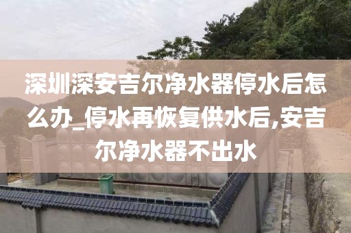 深圳深安吉爾凈水器停水后怎么辦_停水再恢復供水后,安吉爾凈水器不出水