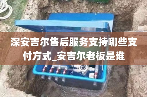 深安吉爾售后服務(wù)支持哪些支付方式_安吉爾老板是誰